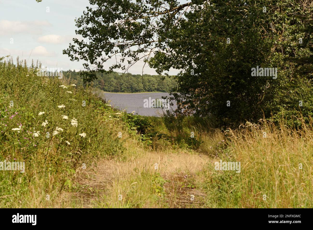 Raf westcott hires stock photography and images Alamy