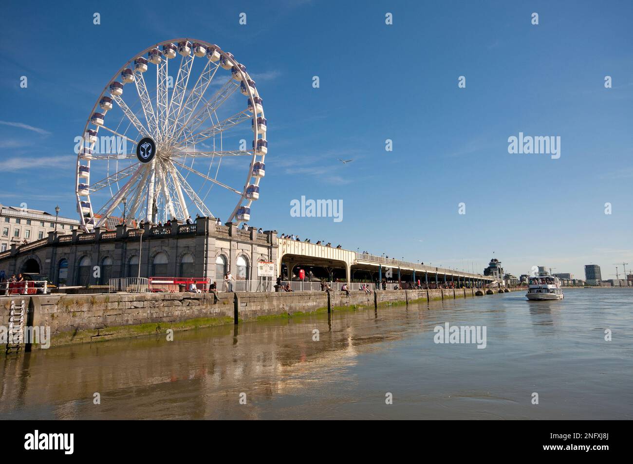 Giant ferris wheel 'The View' overlooking the River Scheldt in Antwerp (Flanders), Belgium Stock Photo