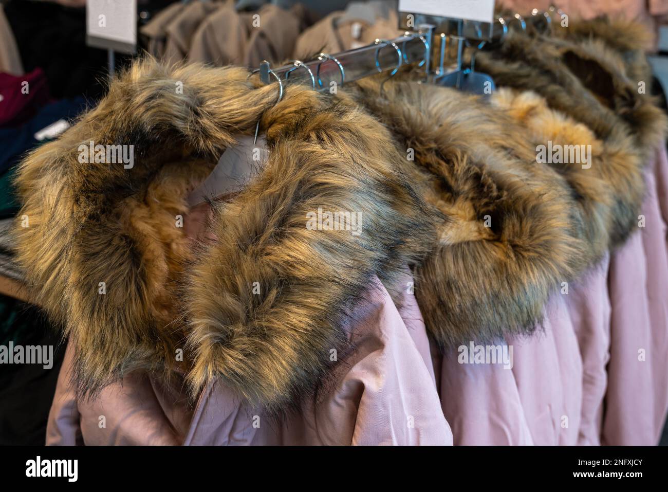 Winter jackets with fur collars hanging on plastic hangers in a store. Close up. Stock Photo