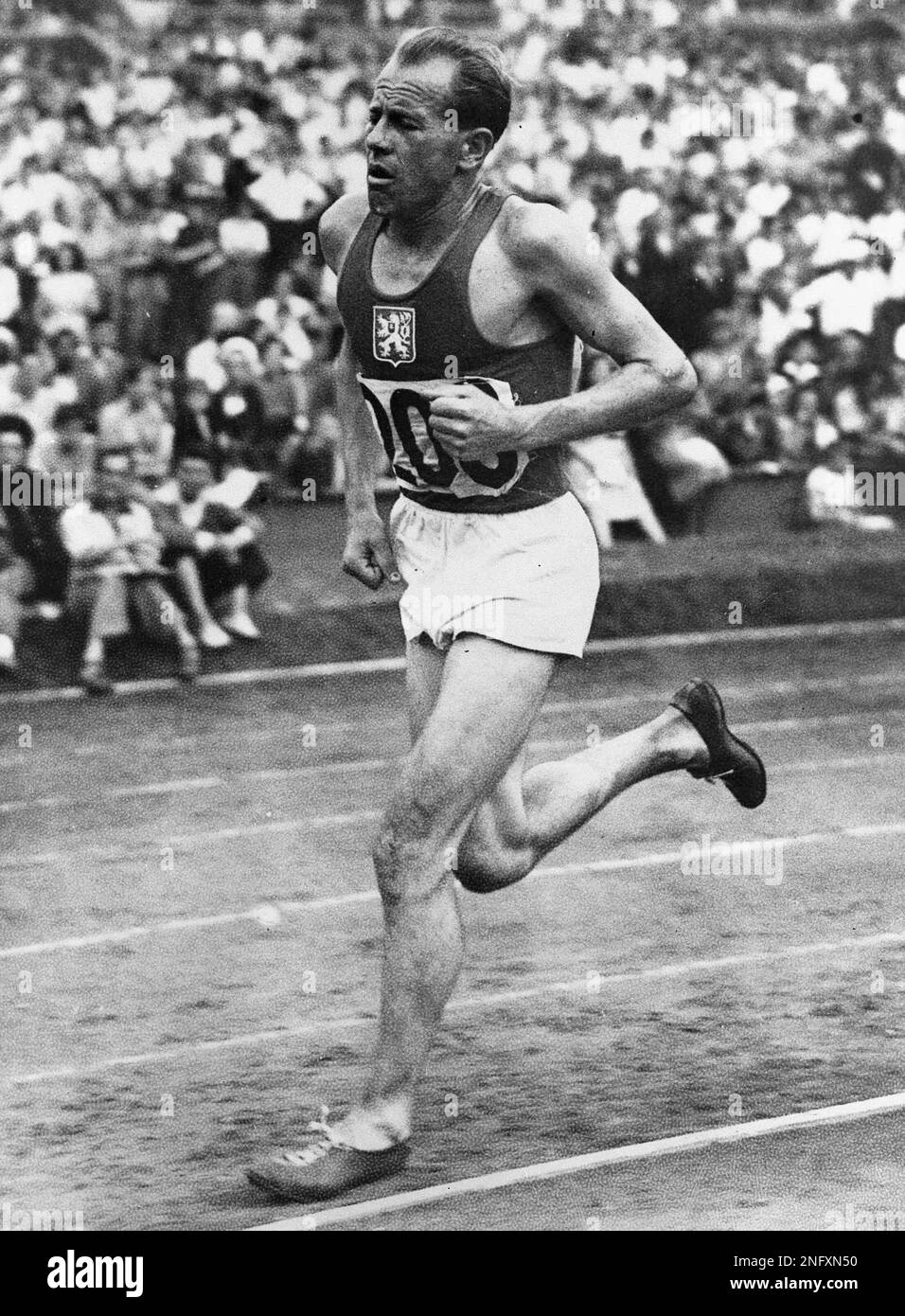 Photo Ancienne Emil Zatopek – Vainqueur Marathon Olympique – Tirage Original Années 50