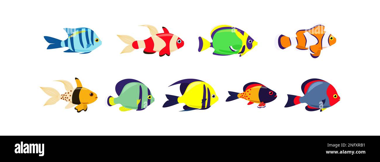Set of marine exotic fishes on a white background. Collection Aquarium vector fish isolates. Sea fish. Vector illustration Stock Vector