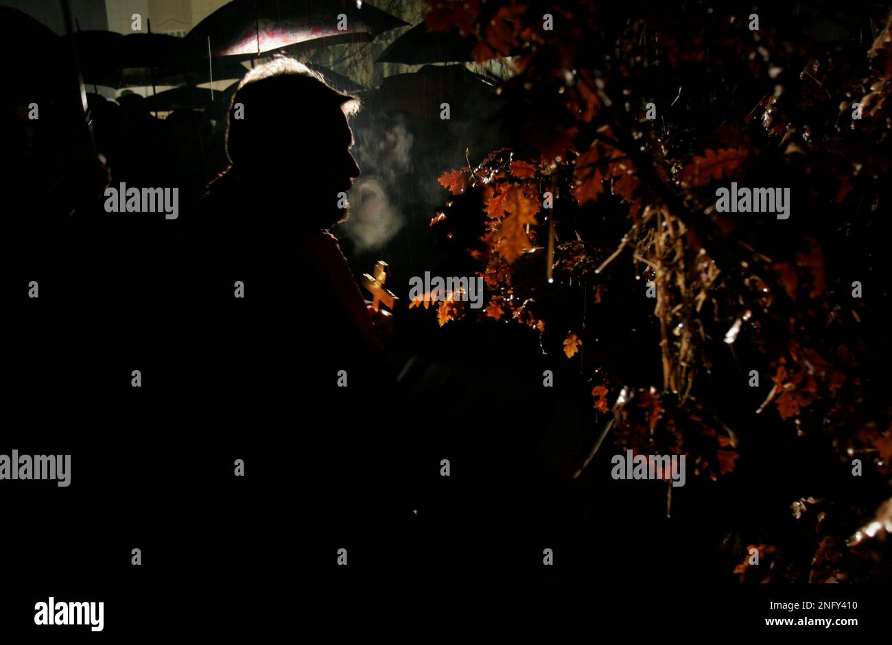 Bosnian Serb Orthadox priest says prayers near dried oak branches the