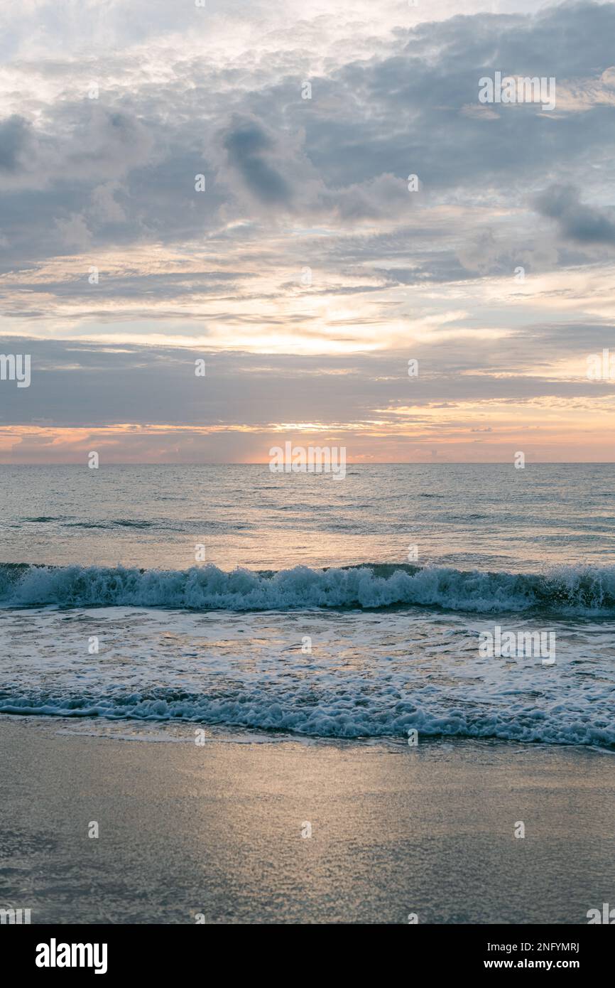 Vertical shot beautiful foamy hi-res stock photography and images - Alamy