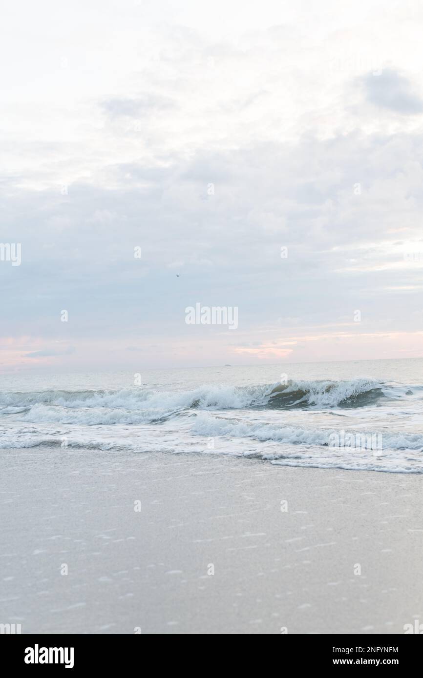 Vertical shot beautiful foamy hi-res stock photography and images - Alamy