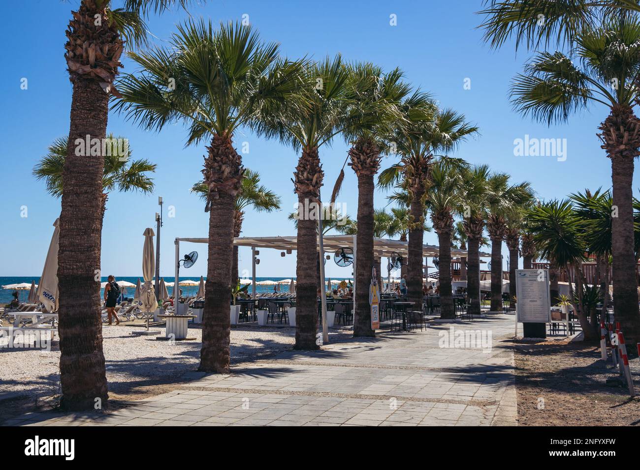 Palm trees on a promenade next to Mackenzie Beach in Larnaca city, Cyprus island country Stock