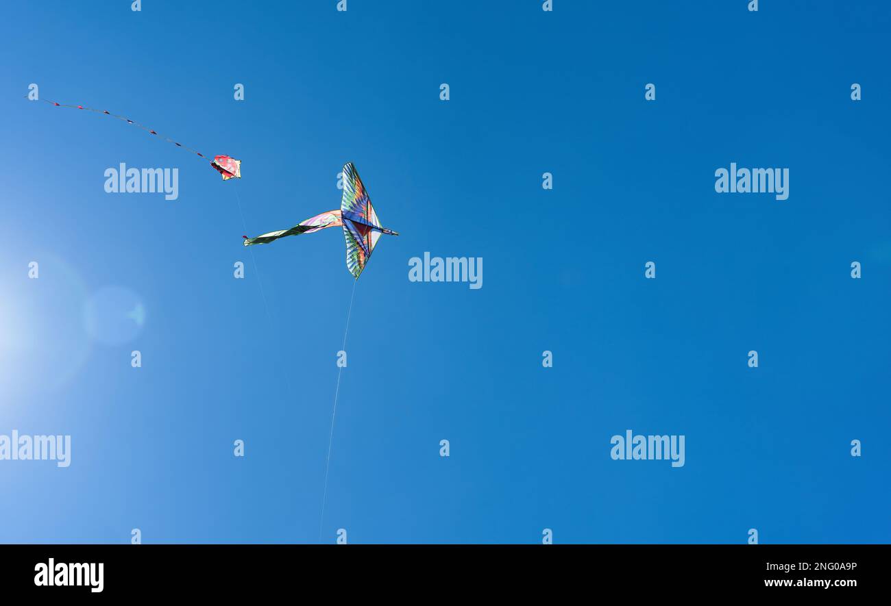 Colorful kite bird soars high in the sky Blue sky. Sports kite festival