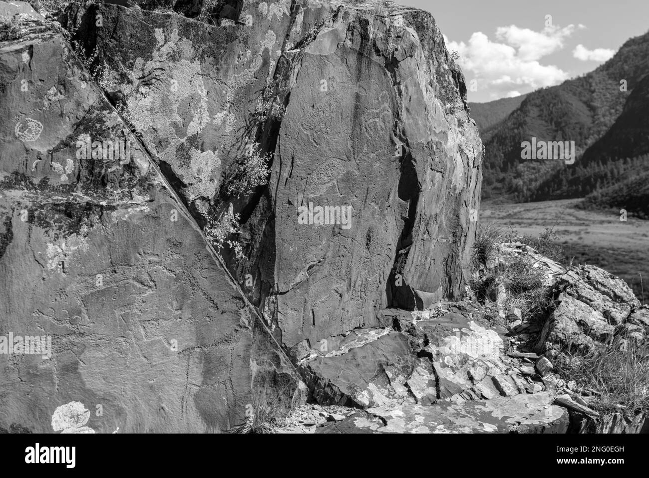 Rock drawing petroglyphs of ancient people of different animals deer on the stones behind the panorama of the mountains and the Altai river in Siberia Stock Photo
