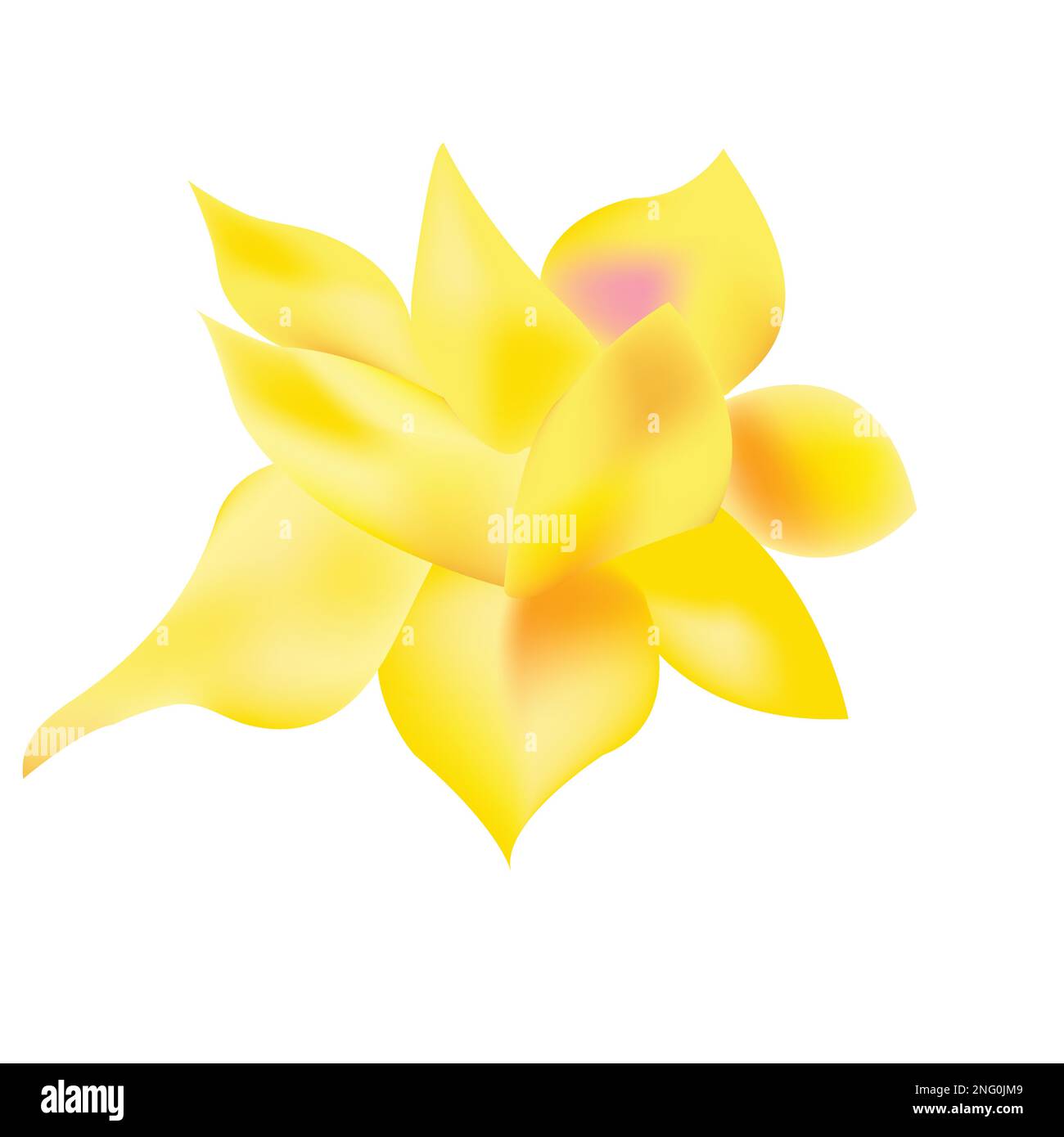 Daffodil flower made with mesh over white background Stock Vector