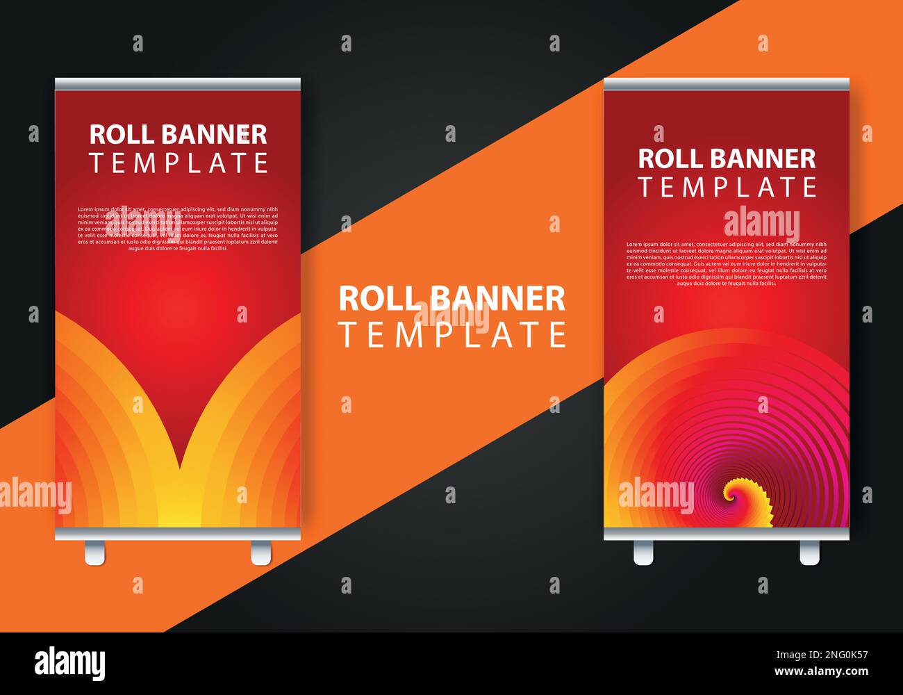 roll up brochure flyer banner design vertical template vector,Vertical