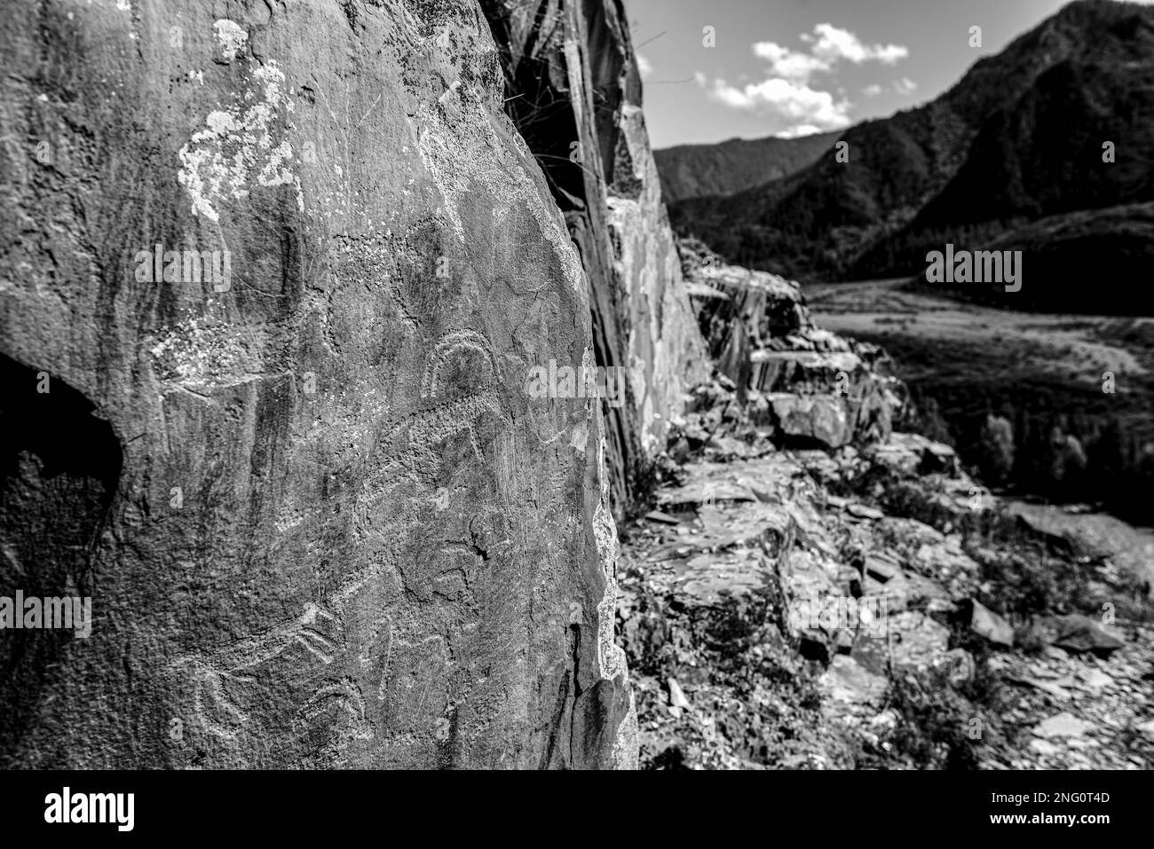 Petroglyphs rock drawings of ancient people animals on the stones behind the panorama of the mountains and the Altai river in Siberia. Black and white Stock Photo
