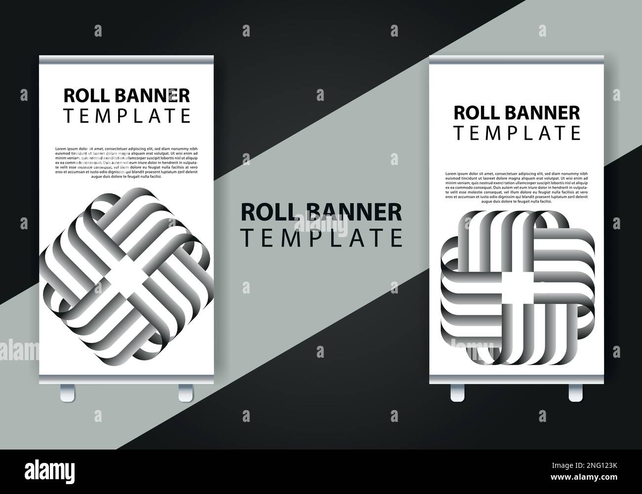 roll up brochure flyer banner design vertical template vector,Vertical