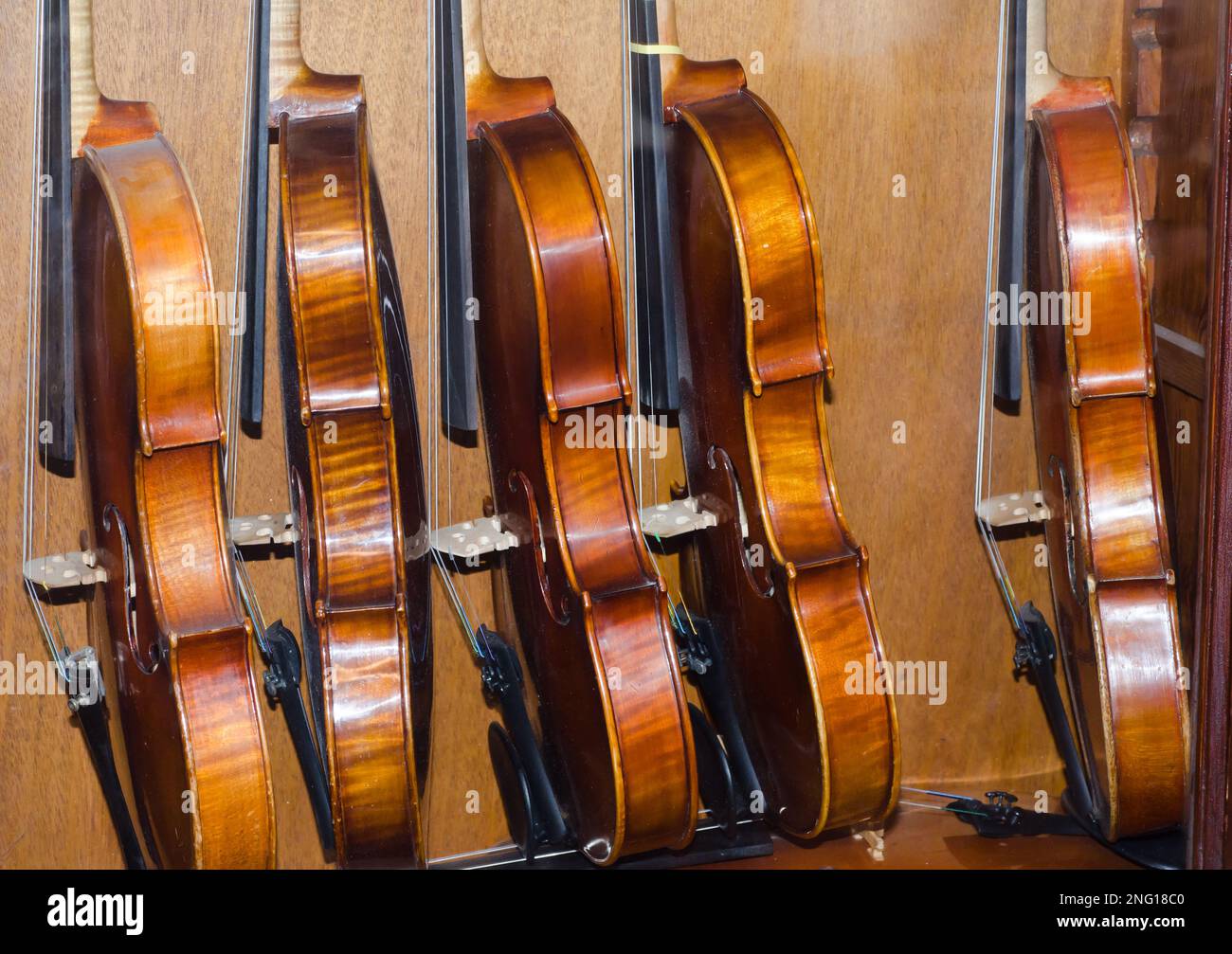 Many Violins Side By Side in Switzerland Stock Photo Alamy