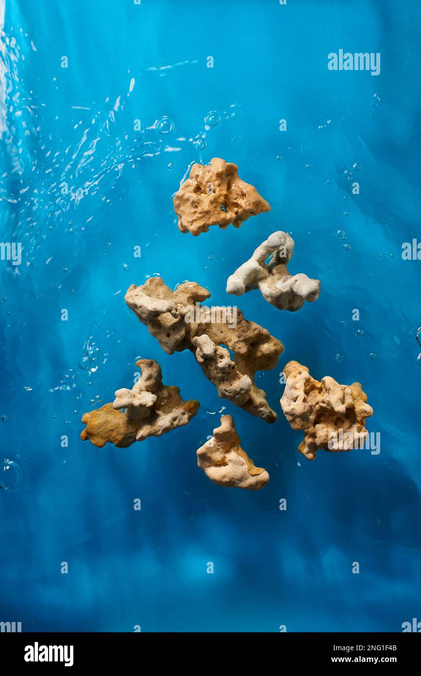 Reef Roc Surface Rock reefs in bright blue ocean water with waves and bubbles Stock ...