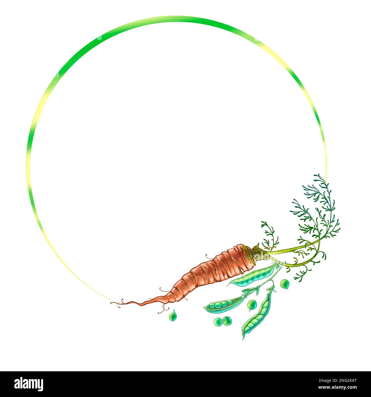 Round frame with carrot illustration. High quality illustration Stock Photo