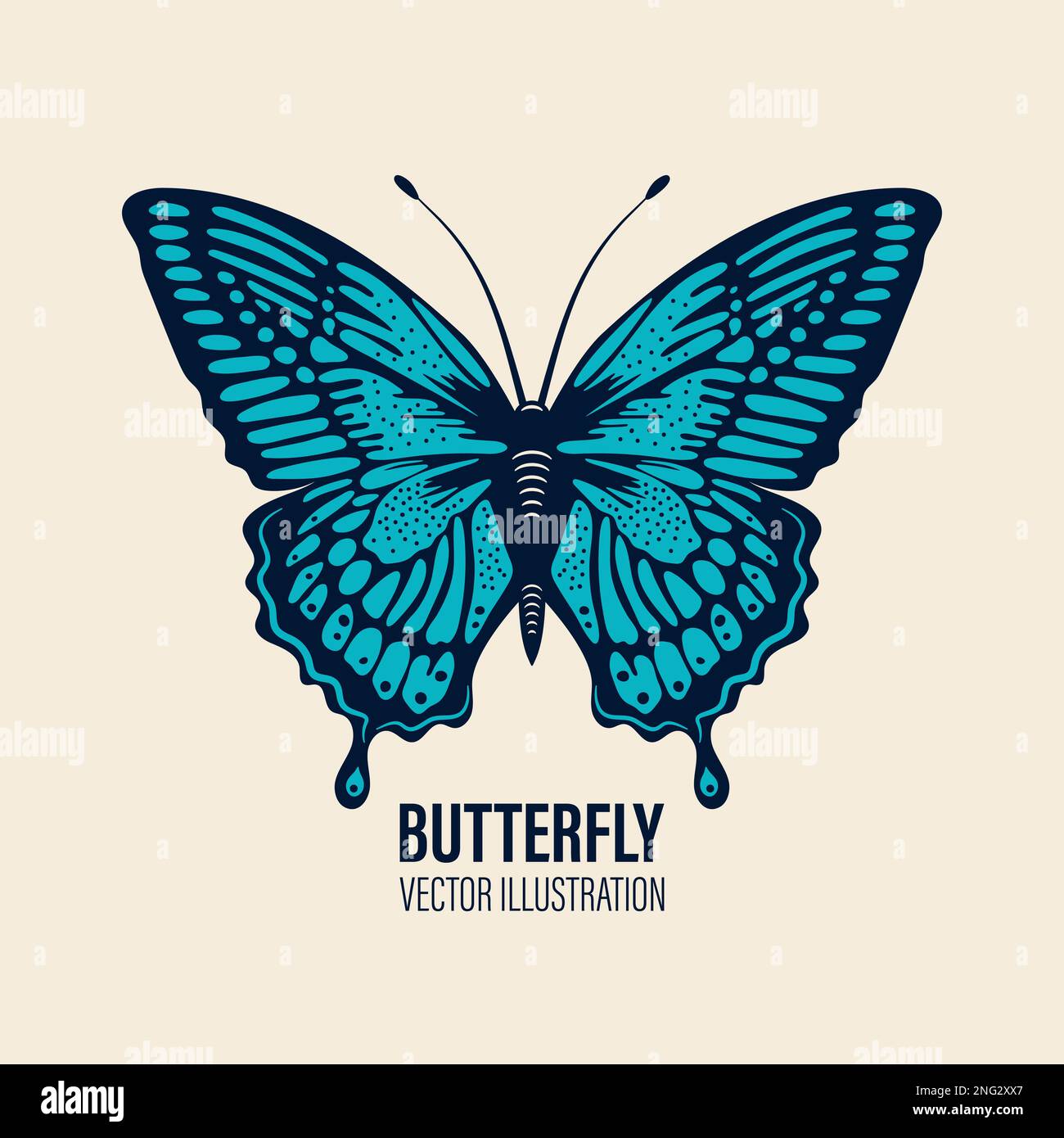 Vector Hand Drawn Butterfly Icon Closeup Isolated on White Background ...