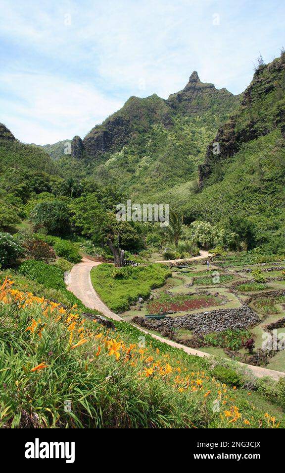 ** ADVANCE WEEKEND AUG 11-12 ** The Limahuli Garden on the North Shore ...