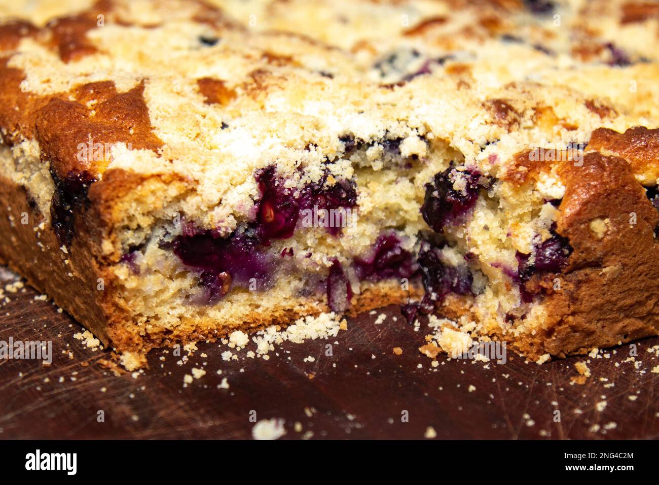 Classic black grape cake (Isabel burgundy variety) known as "cuca de
