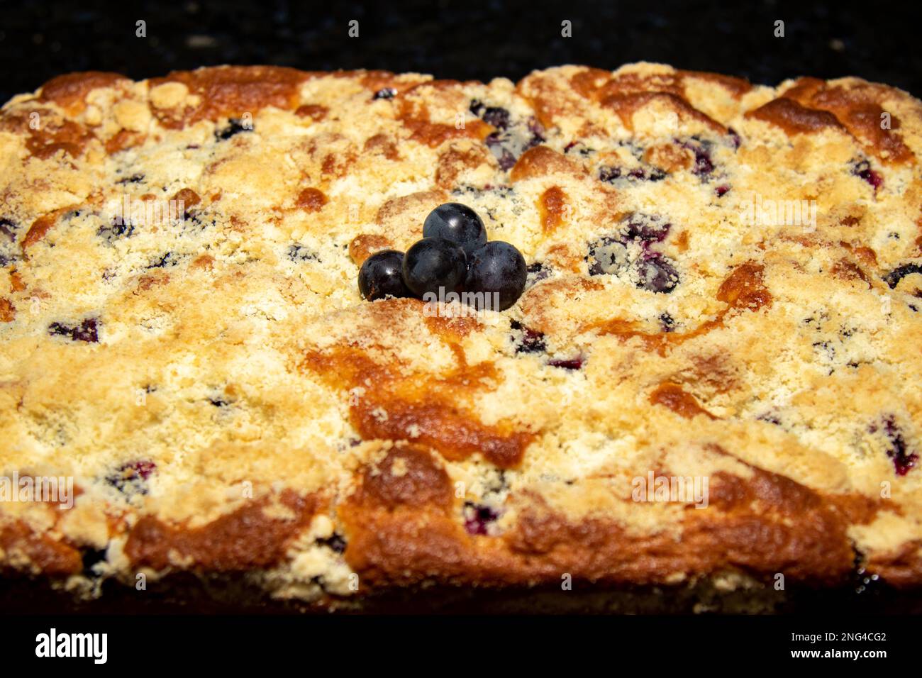 Classic black grape cake (Isabel burgundy variety) known as "cuca de