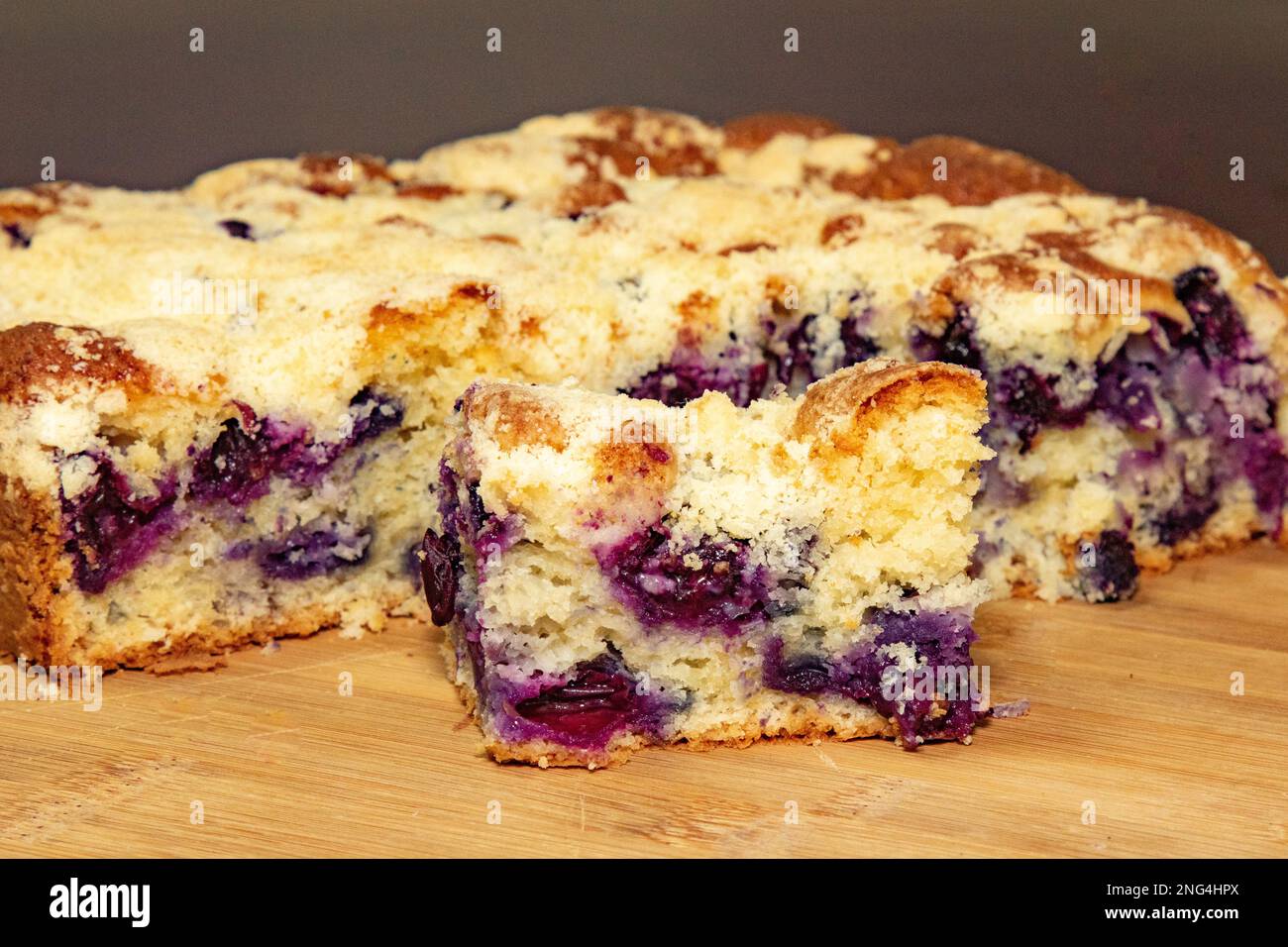 Classic black grape cake (Isabel burgundy variety) known as "cuca de