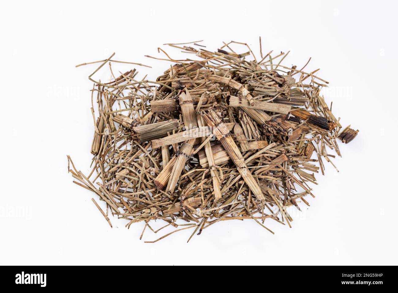 Dried Medicinal Herb Horsetail; Photo White Background Stock Photo