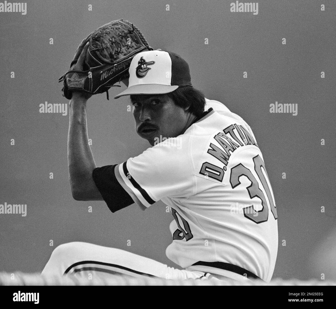 wad of tobacco Baltimore Orioles pitcher Dennis Martinez (30) winds up for a pitch with a  wad of tobacco in his cheek during Sunday's spring training practice at  Miami Stadium, March 1, 1982. Martinez, a