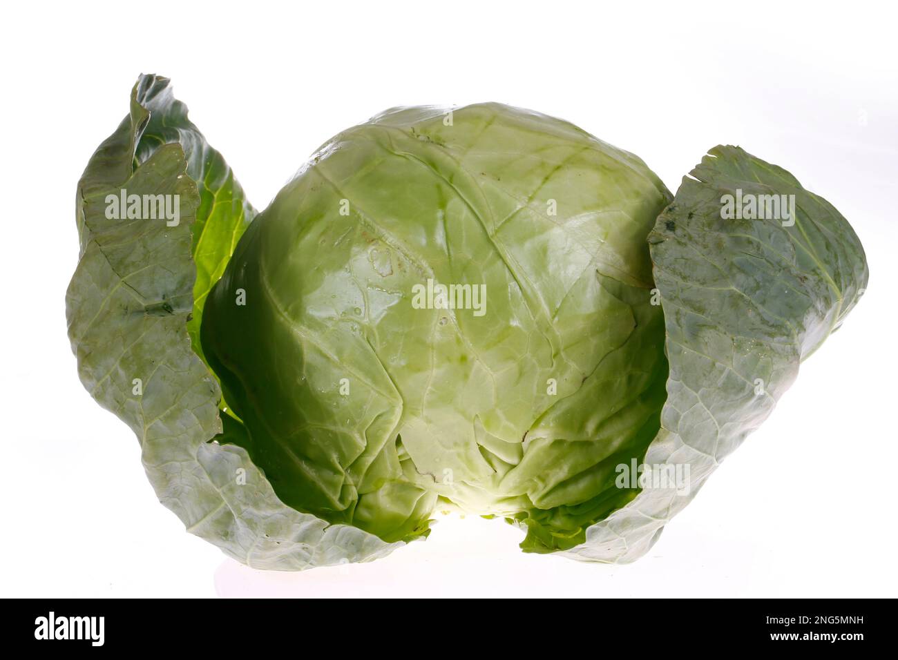Cabbage patch on the white background, close-up pictures Stock Photo