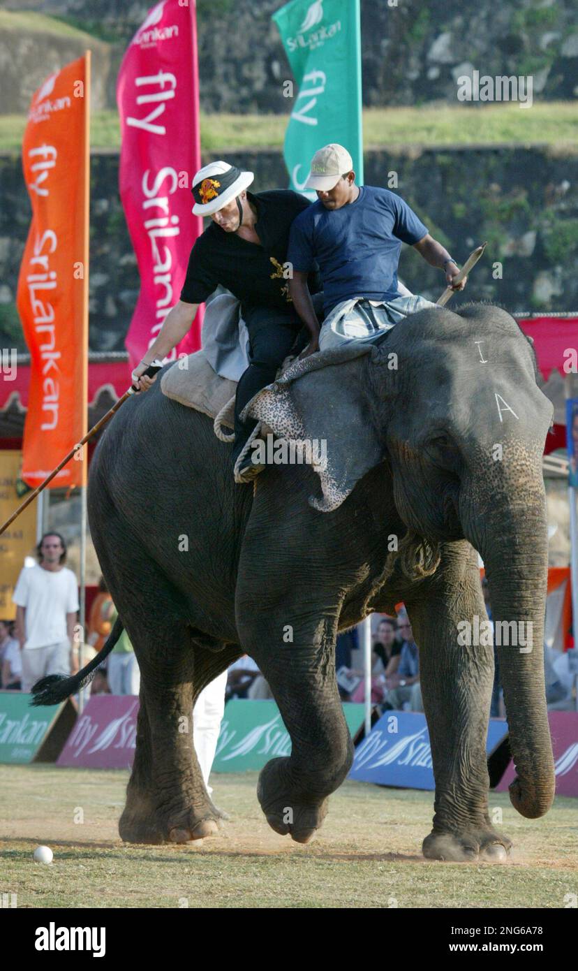 An elephant runs as the Polo player prepares to hit for ball during Sri Lanka's sixth annual