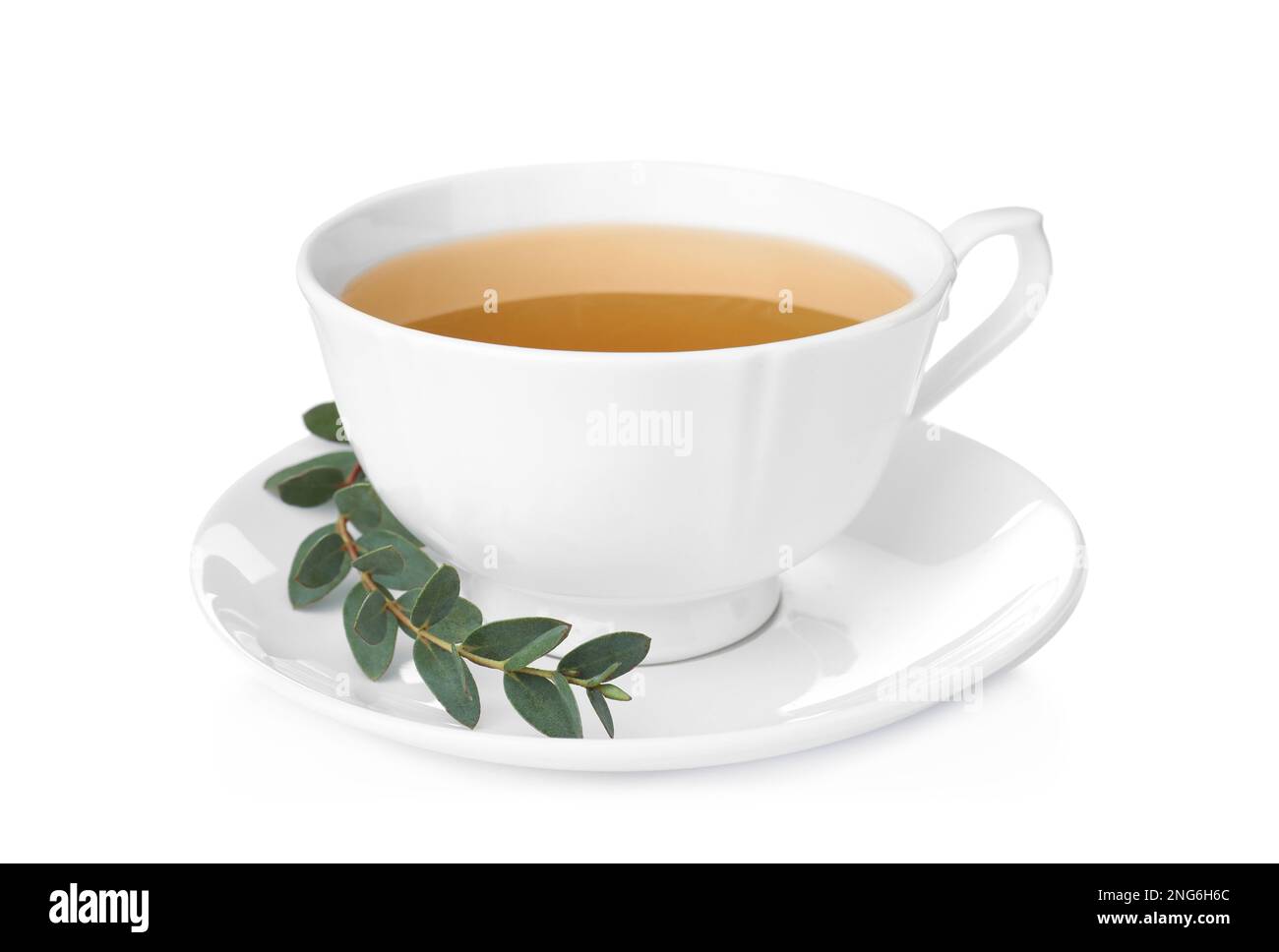 Cup of green tea with eucalyptus leaves on white background Stock Photo