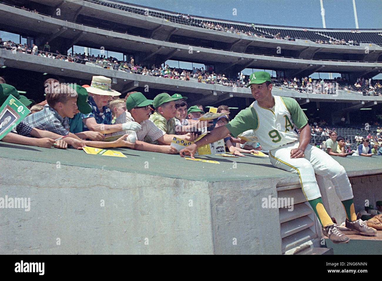 Oakland Athletics' player Reggie Jackson is shown with fans in front of the  dugout at the Oakland Coliseum, Sept. 1969. (AP Photo Stock Photo - Alamy