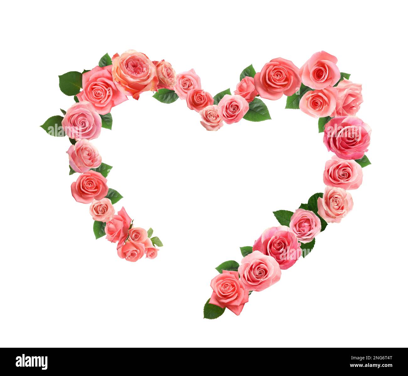 Heart made of beautiful pink roses on white background Stock Photo - Alamy