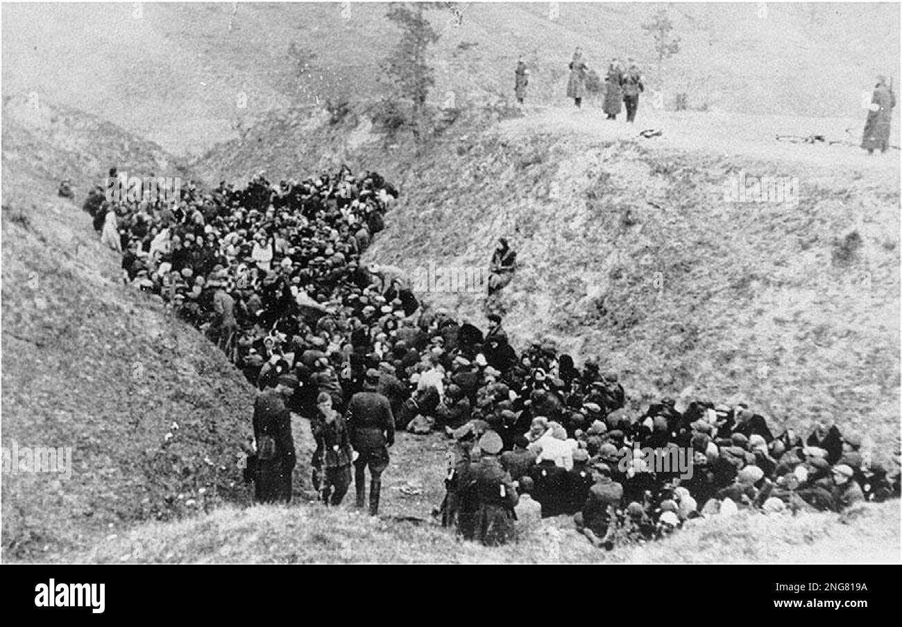 The early phase of the Holocaust was not with gas chambers but mobile execution squads known as Enisatzgruppen. Their task was to roam behind teh front lines shooting all the Jews they could. They killed an estimated  two million people. This photo shows Jews from the Mizocz Ghetto rounded up with the assistance of the Gendarmerie and Ukrainian Schutzmannschaften for execution.14 October 1942 Stock Photo