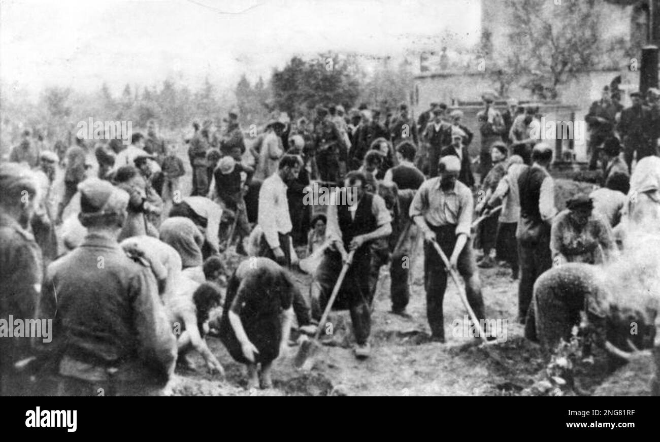 The early phase of the Holocaust was not with gas chambers but mobile execution squads known as Enisatzgruppen. Their task was to roam behind teh front lines shooting all the Jews they could. They killed an estimated  two million people.  This photo shows Jews being forced to dig their own graves prior to their execution in Zboriv, Ukraine on 5 July 1941. Photo Bundesarchiv, Bild 183-A0706-0018-029 / CC-BY-SA 3.0, CC BY-SA 3.0 de, https://commons.wikimedia.org/w/index.php?curid=5432007 Stock Photo