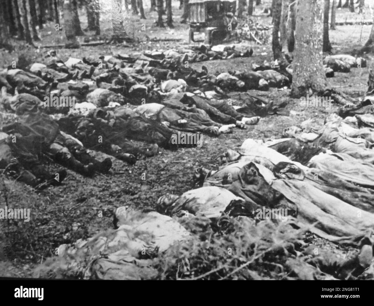 The early phase of the Holocaust was not with gas chambers but mobile execution squads known as Enisatzgruppen. Their task was to roam behind teh front lines shooting all the Jews they could. They killed an estimated  two million people. This image shows the massacre of Paneriai near Vilnius (Lituania) where 100,000 Jews were shot by the nazis in 1941 Stock Photo