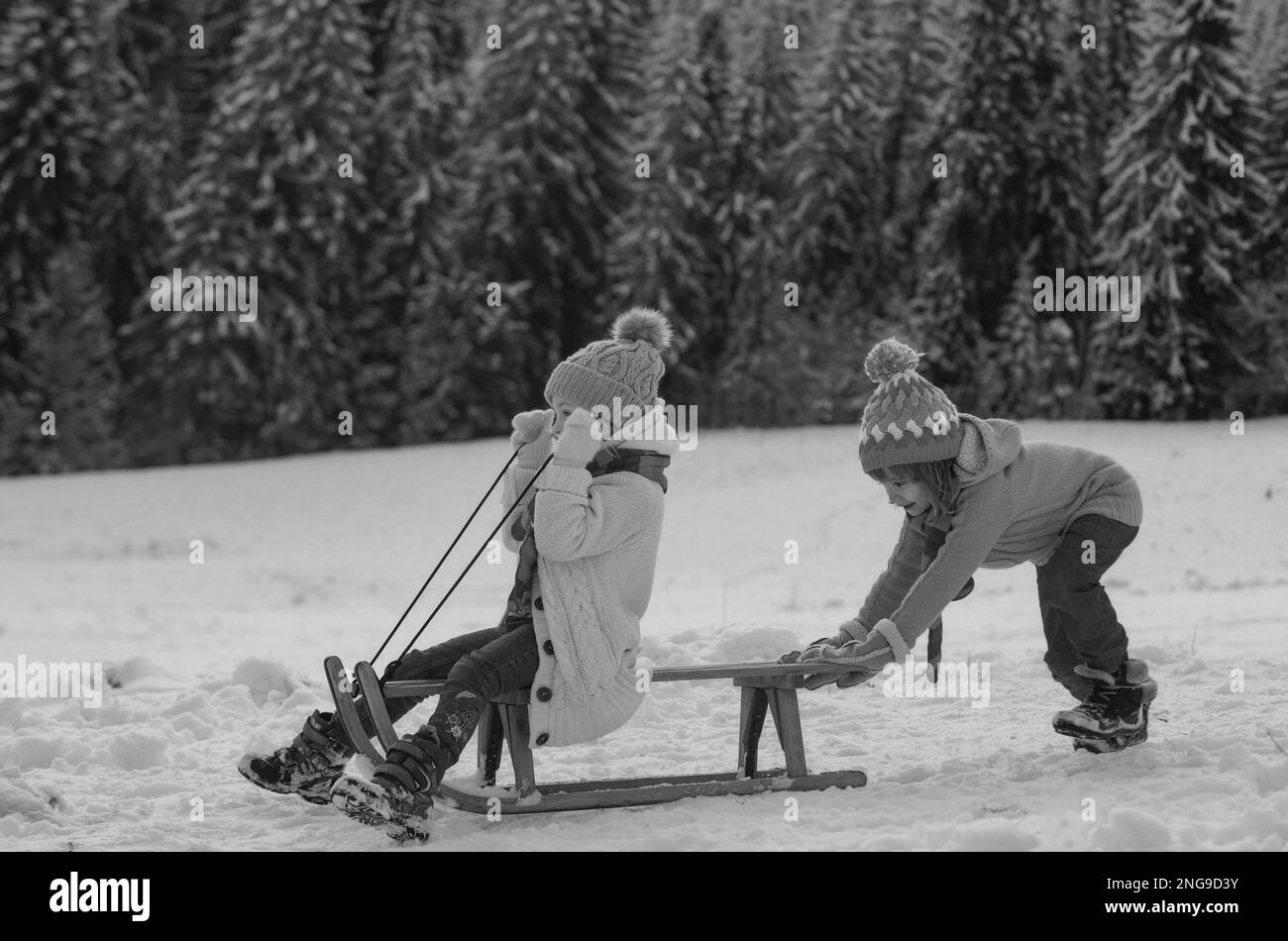 Happy little boy and girl sledding in winter. Kids sibling riding on ...