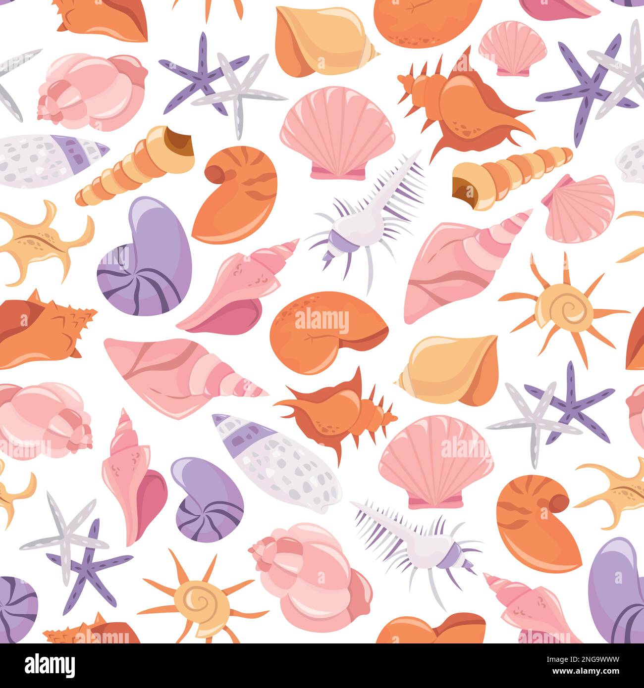 Background seashells various summer Stock Vector Images - Alamy
