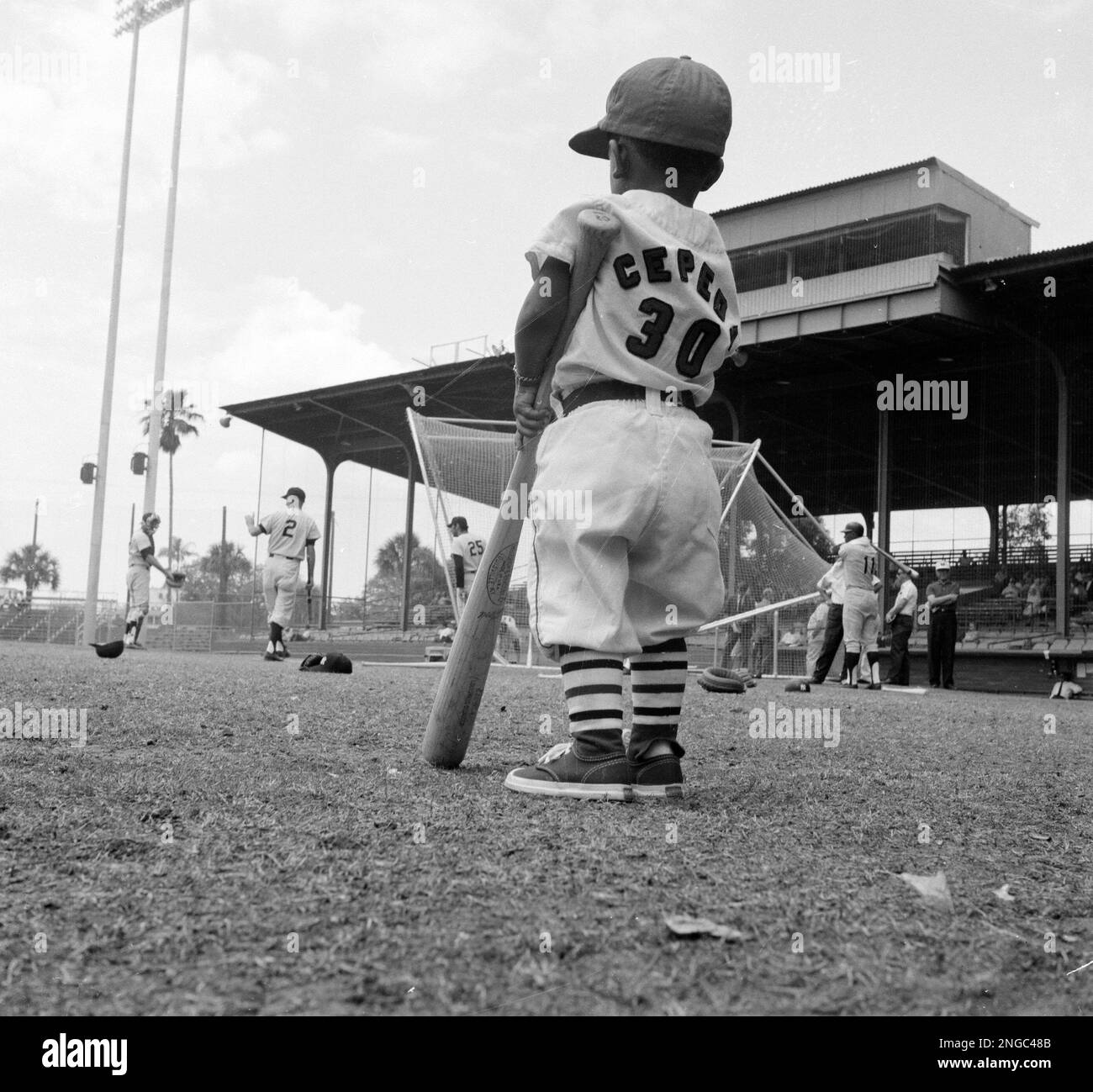 Orlando Cepeda, Jr., two year old son of the St. Louis Cardinals first  baseman, is seen in uniform with the New York Yankees in the background at  batting practice, March 29, 1968. (