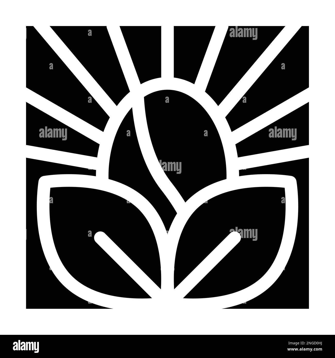 Coffee bean and leaves luxury icon. Flat icon design for cafe Stock