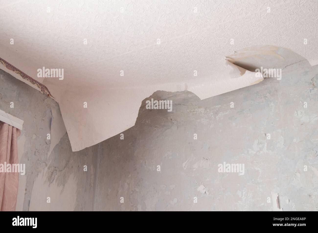 removing old paper wallpaper from the wall in a room of a residential