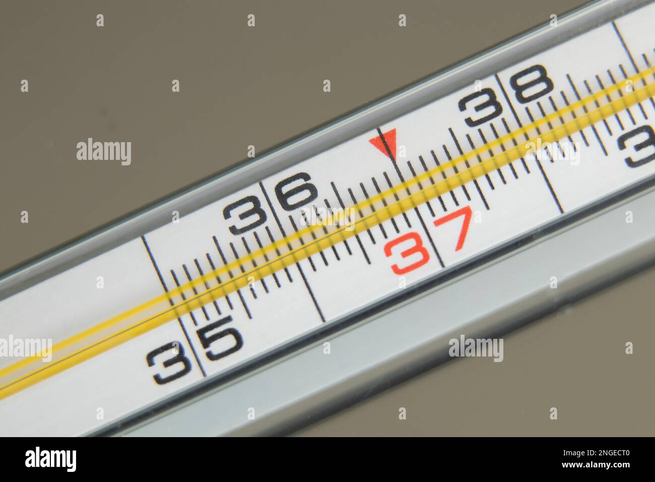 glass alcohol medical thermometer on an isolated background Stock Photo