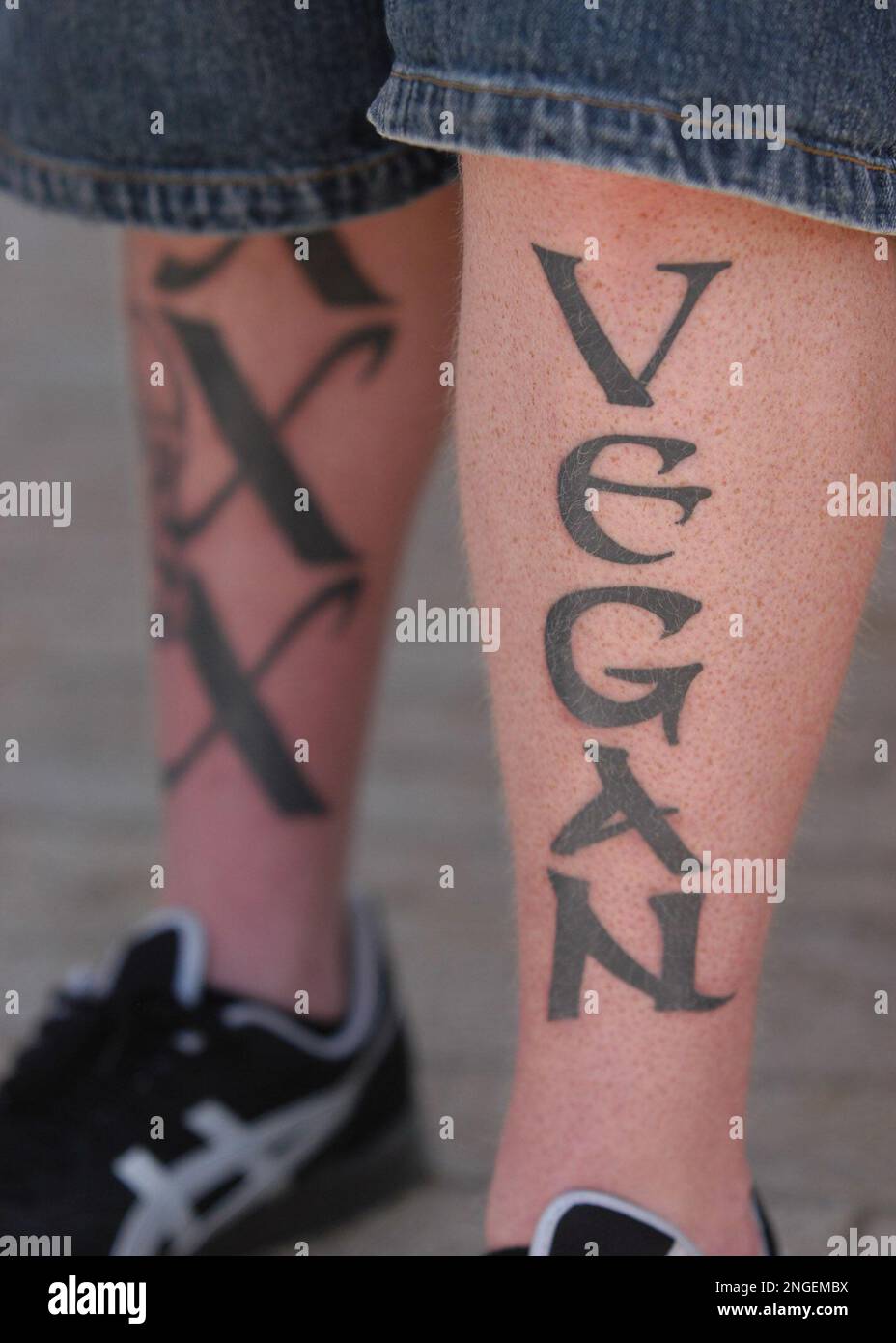VEGAN TATTOOS  Alf has joined Animal Liberation Front  Tattoo by  acewilde  Vegan Tattoos Dont Hurt Animals  vegantattoo  vegantattoostudios alf govegan veganink veganlife animalliberation  alf  Facebook