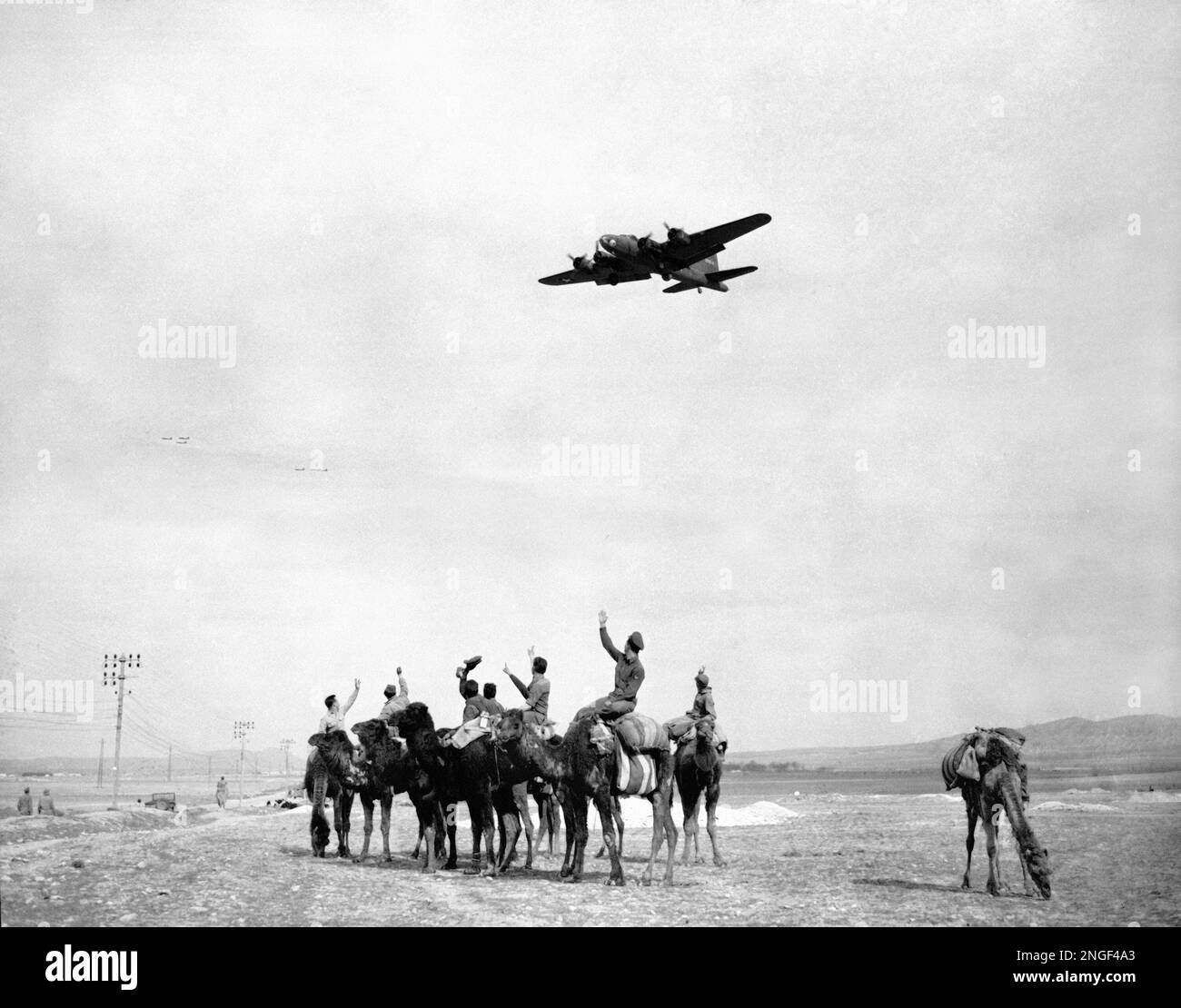 American soldiers, riding camels while off duty, wave to a Boeing B-17 ...