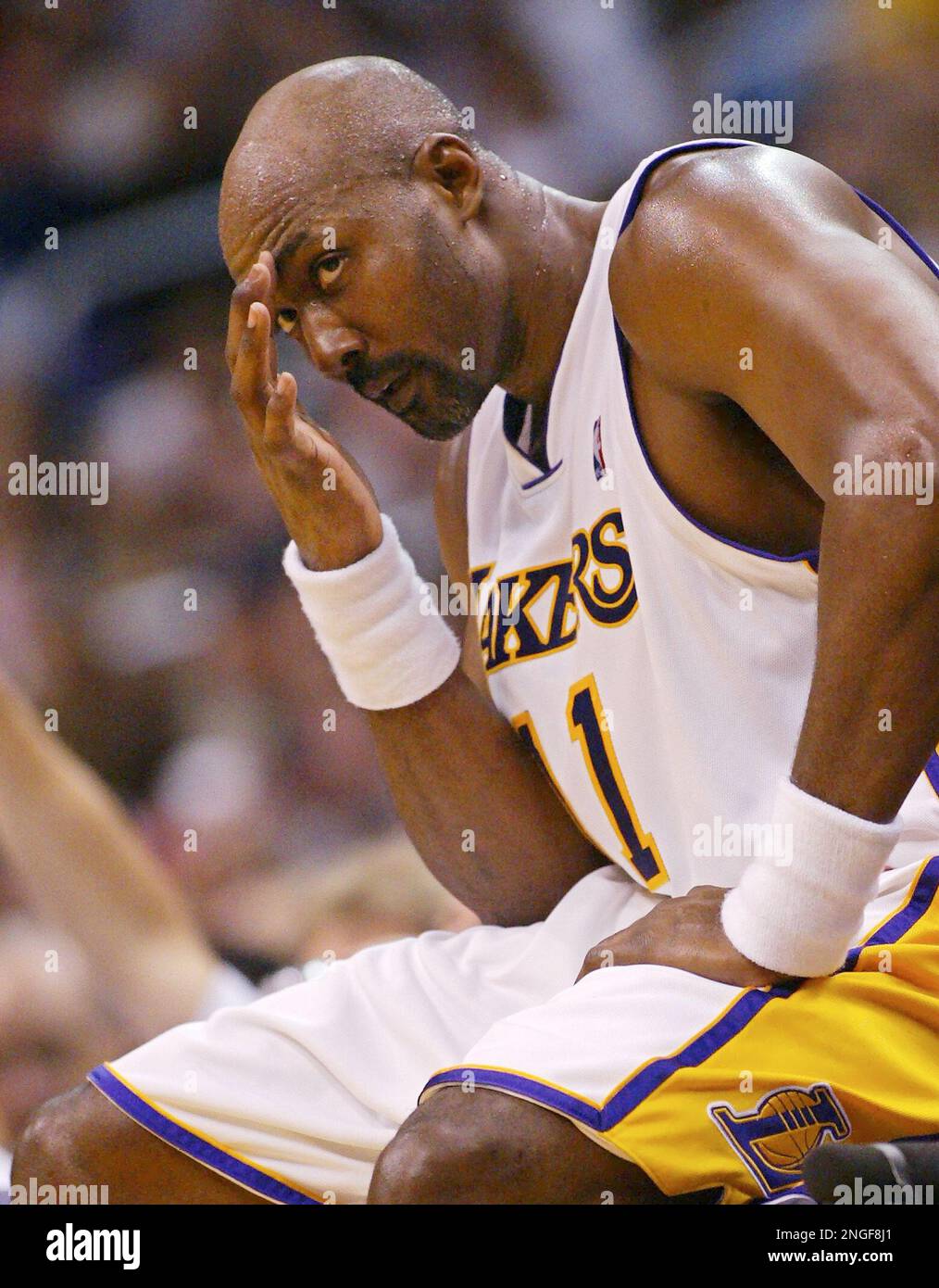 Sweat lakers sale