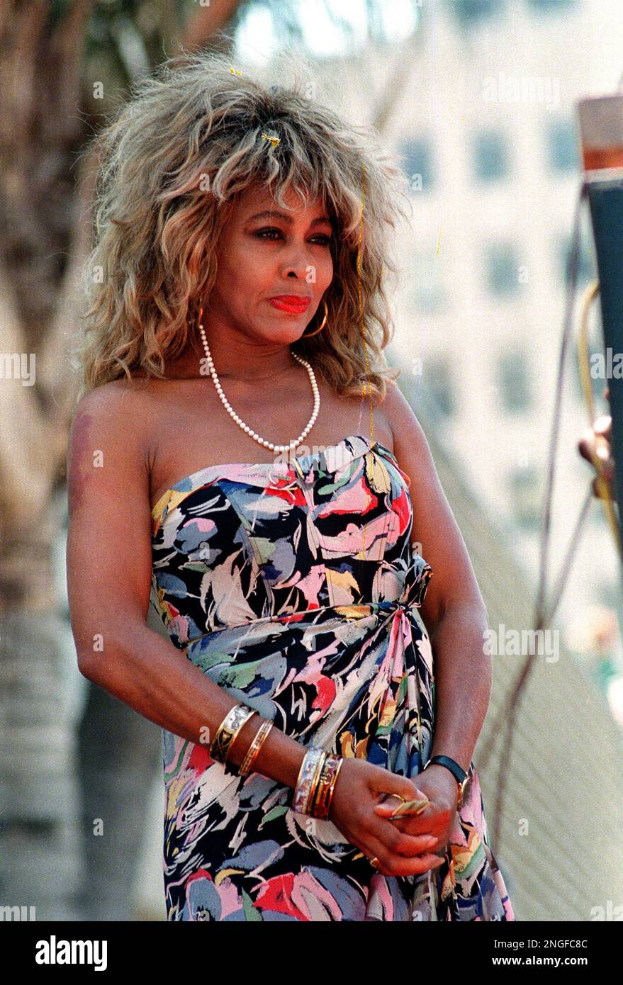 Singer Tina Turner is shown in Los Angeles, Ca., Aug. 28, 1986. (AP