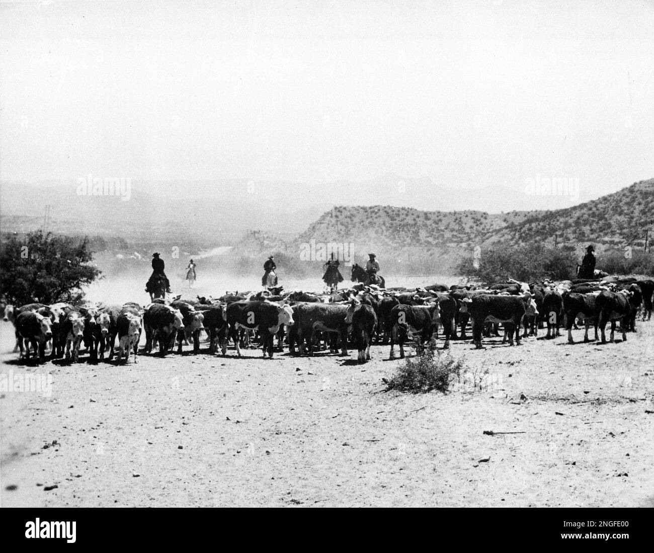 Members of the northern Cheyenne tribe of Montana's Tongue River Indian
