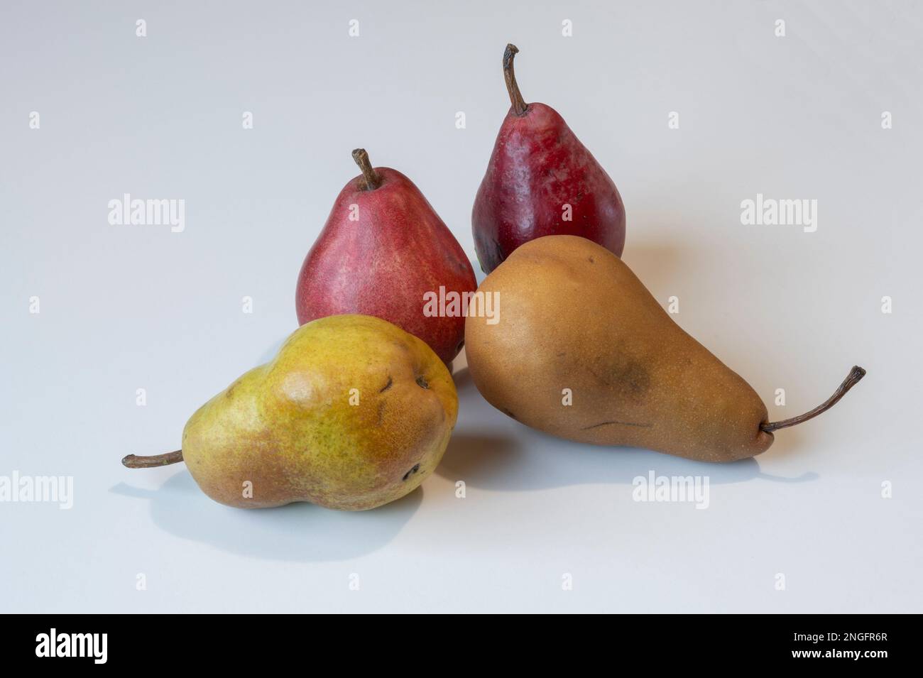 Pears, 5 varieties Stock Photo - Alamy