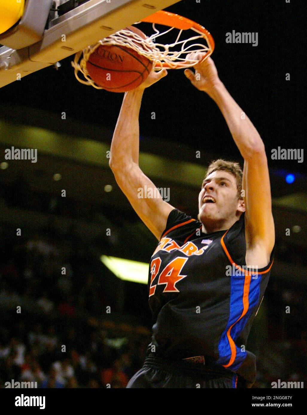 David Lee Dunk