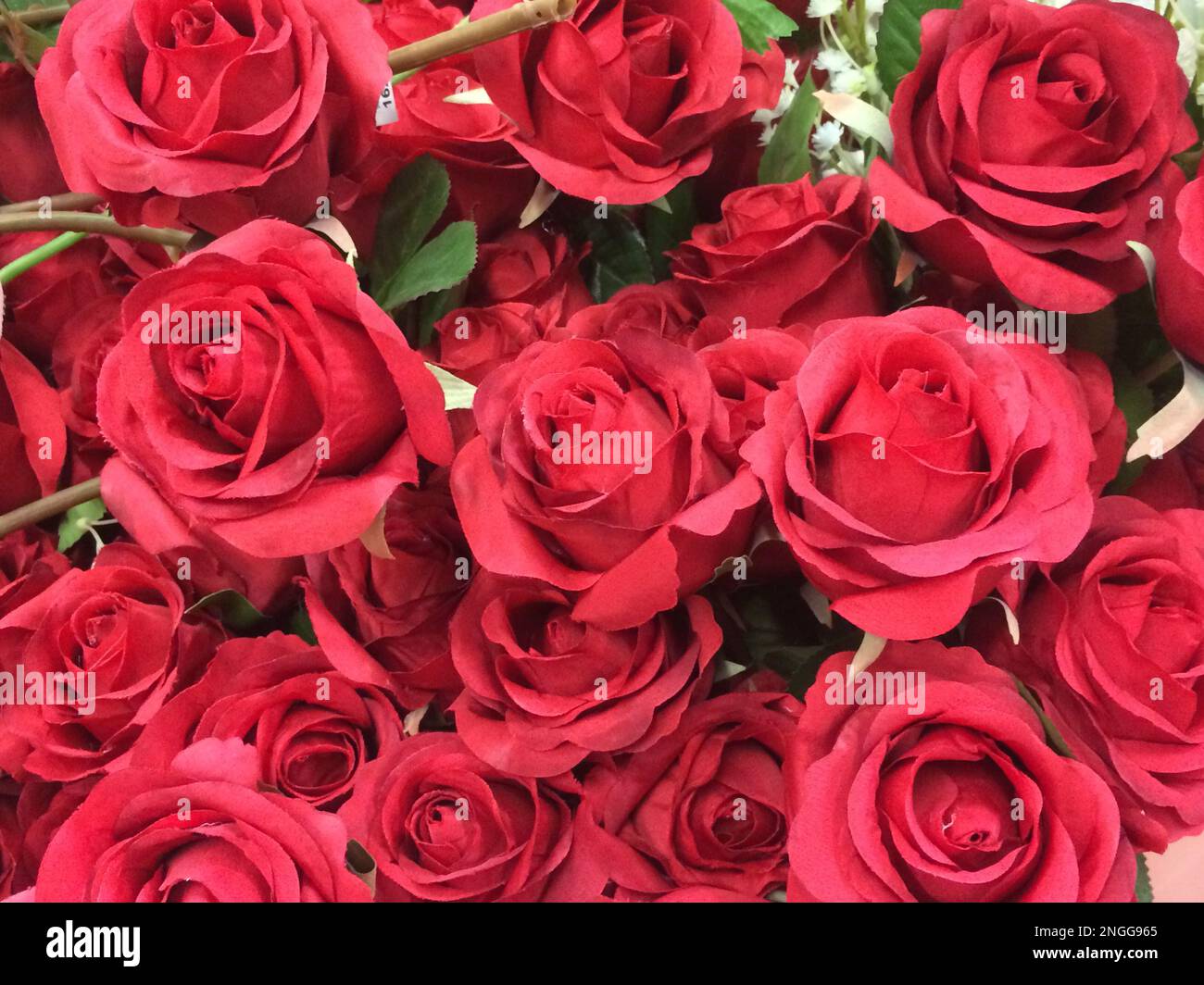 Red unique flowers pack Stock Photo Alamy