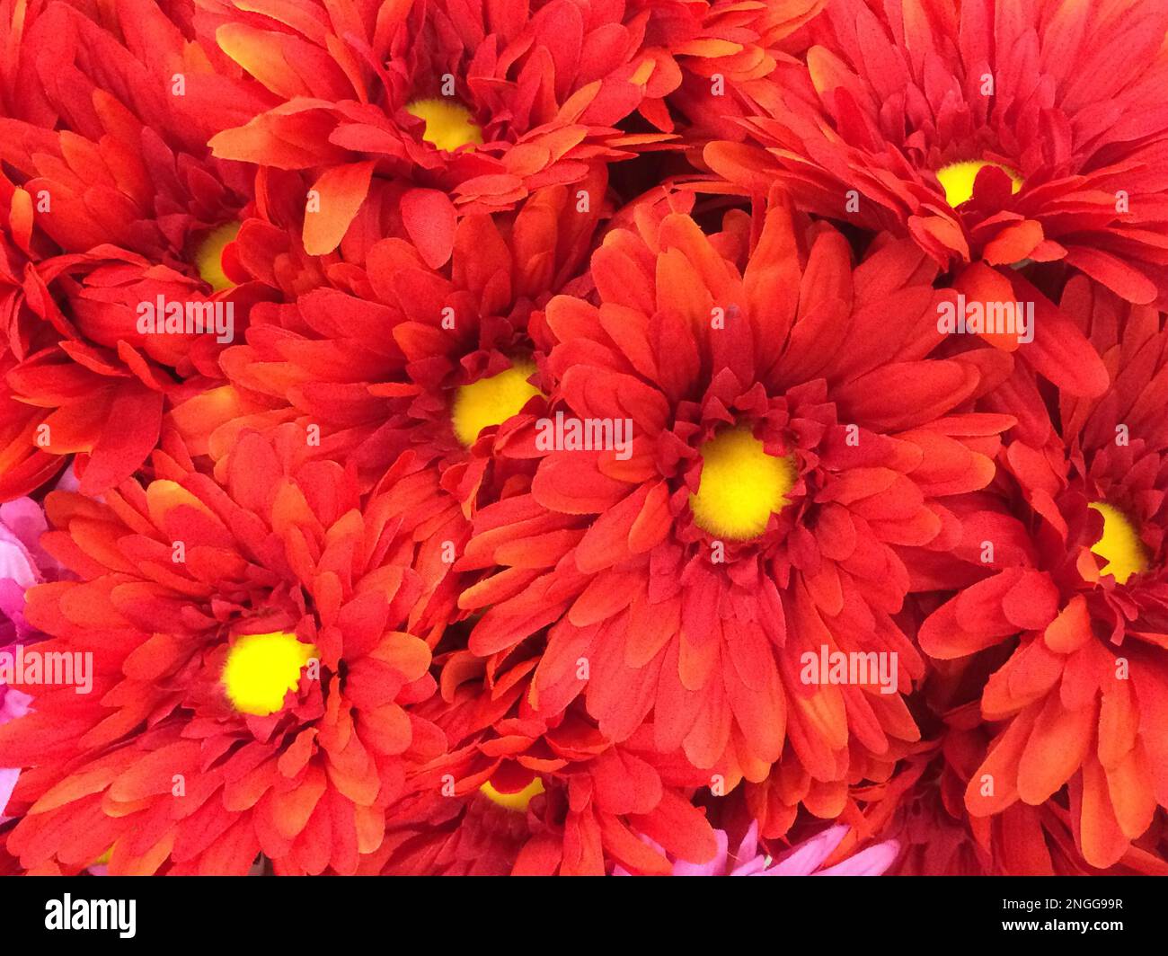 Red unique flowers pack Stock Photo Alamy