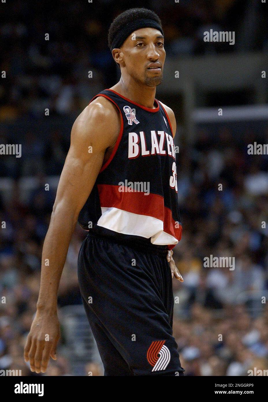 portland blazers pippen