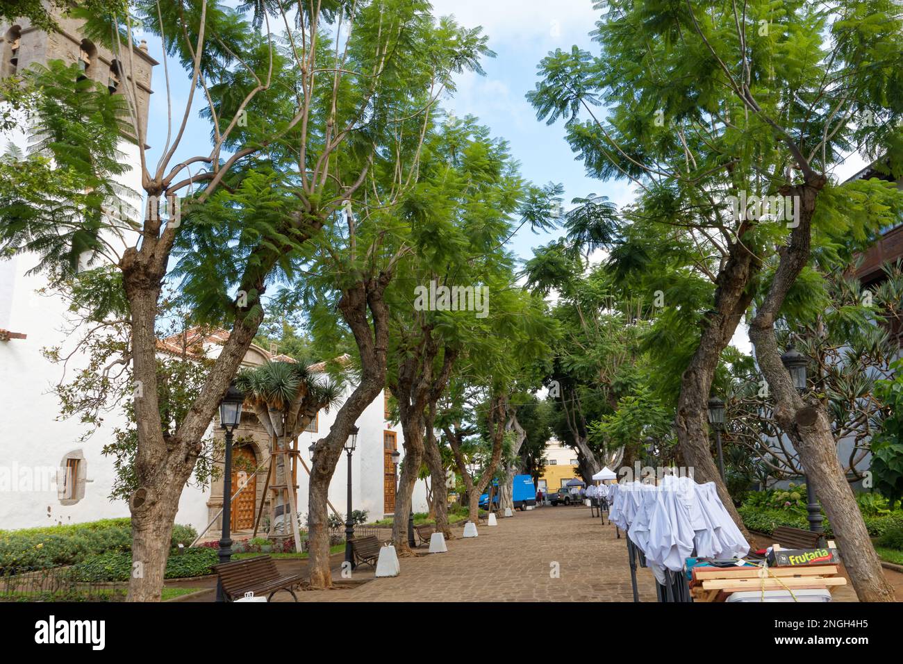 Small town Icod de los Vinos, home to iconic dragon tree and lava tunnels. Stock Photo